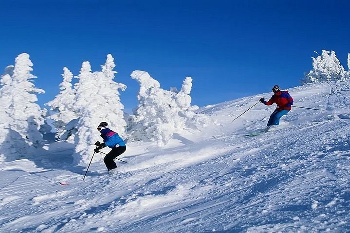 Two skiers on a snowy slope with frosty trees and a clear blue sky enjoying adventure activity